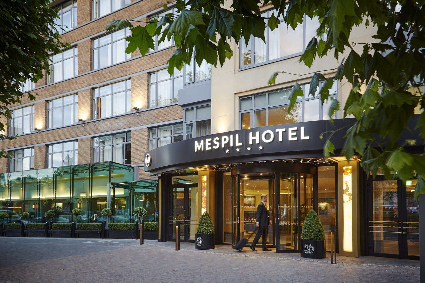 The Mespil